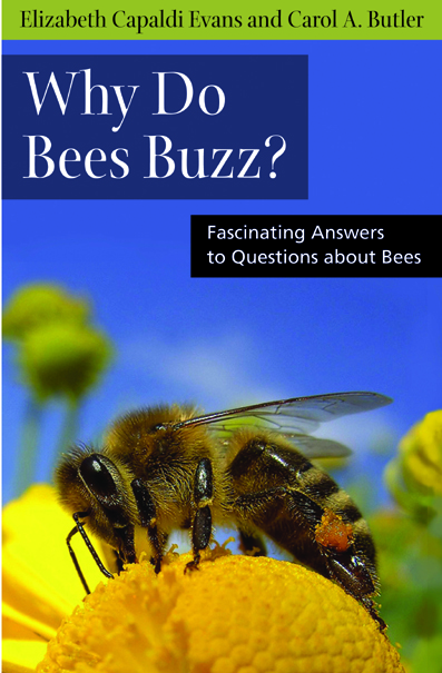 WHY DO BEES BUZZ? (2010)