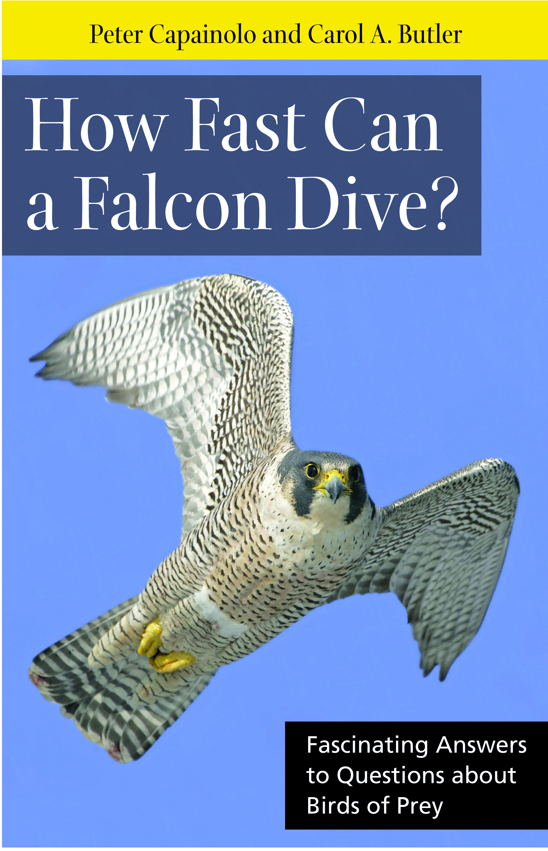 HOW FAST CAN A FALCON DIVE? (2011)