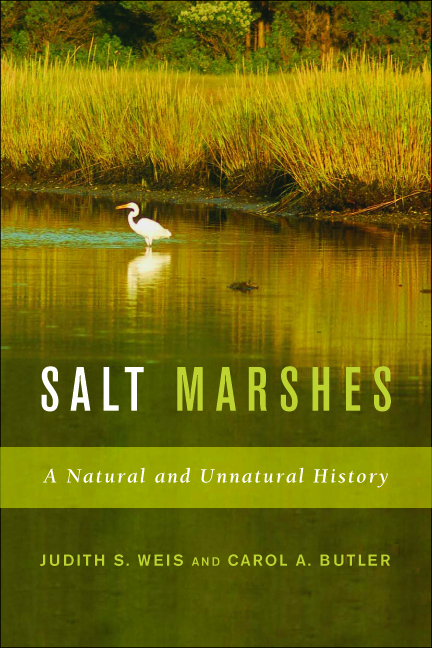 SALT MARSHES: A Natural and Unnatural History (2009)