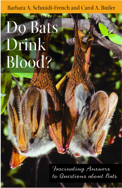 DO BATS DRINK BLOOD? (2009)